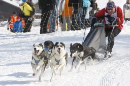 Lenk 2012 SM